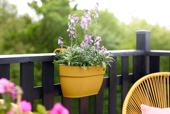 vibia campana easy hanger medium honig gelb